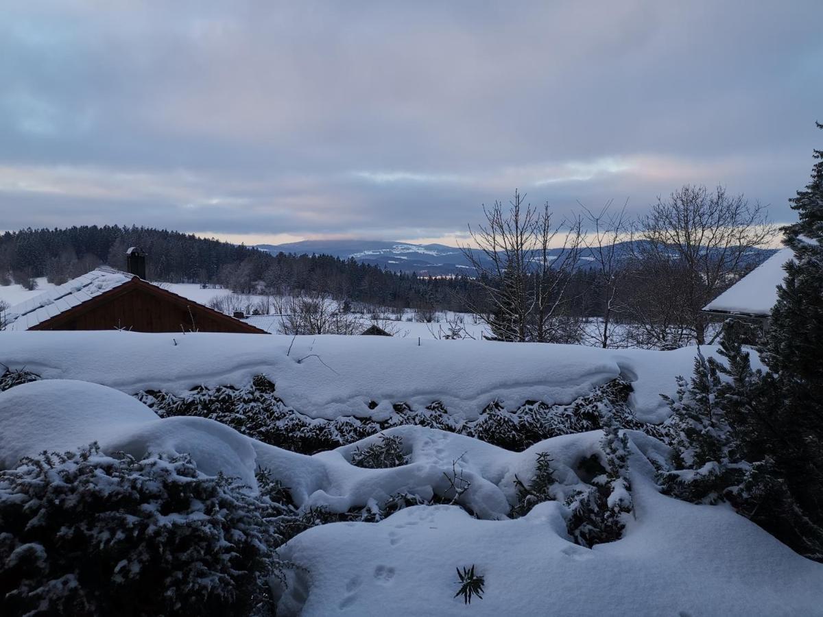 Ferienwohnungen "Haus Daxberg" Idyllisch Gelegen Im Bayerischen Wald Eppenschlag Extérieur photo